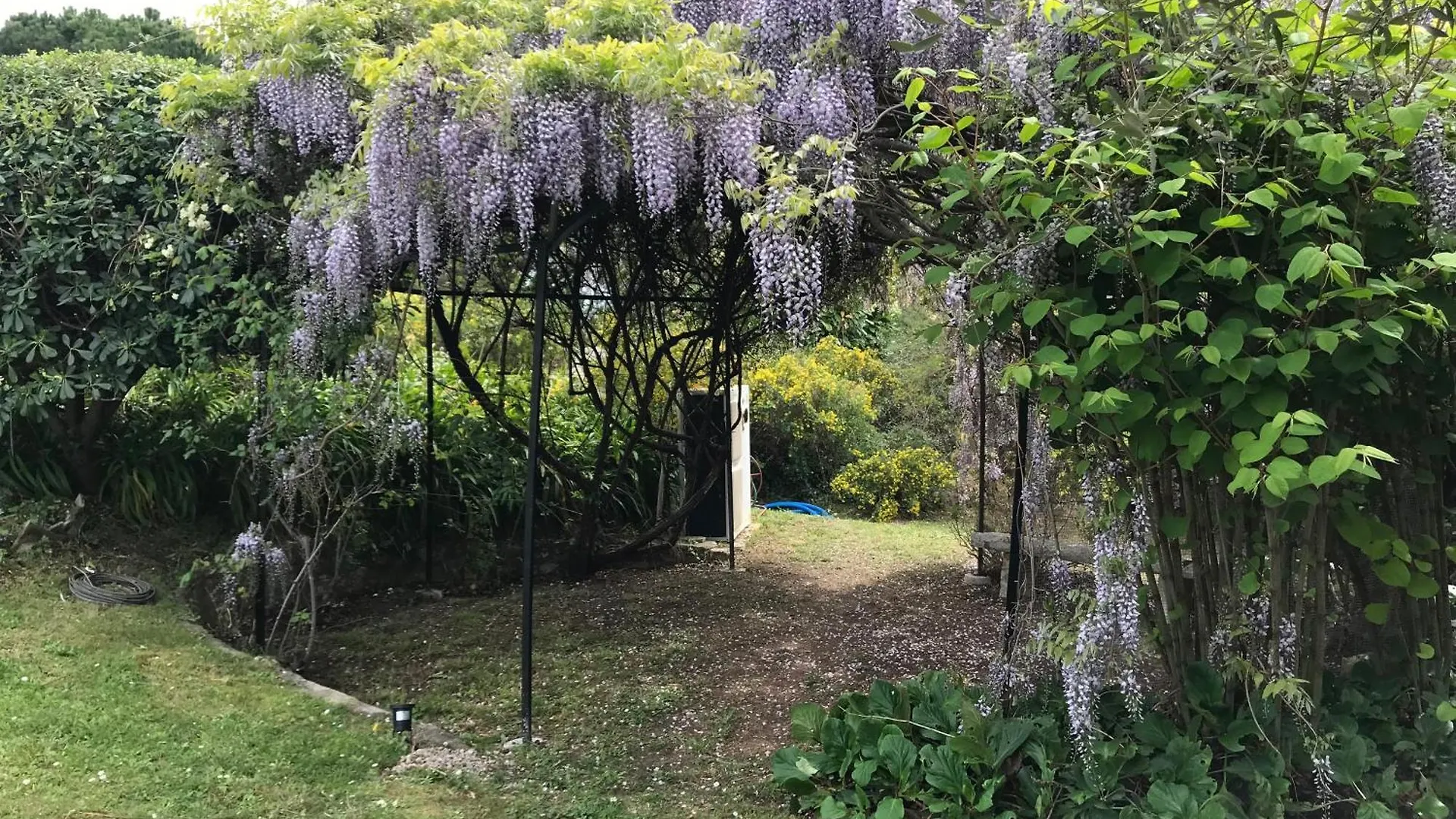 Nouveau Le Mas Des Serens La Gaude Villa