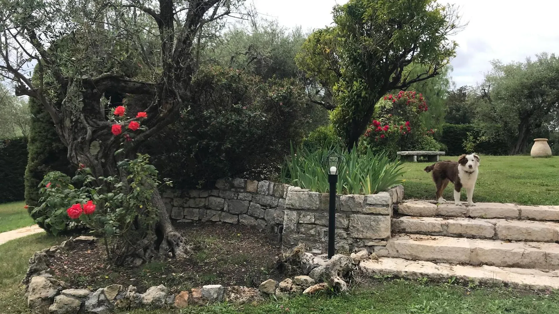 Villa Nouveau Le Mas Des Serens La Gaude